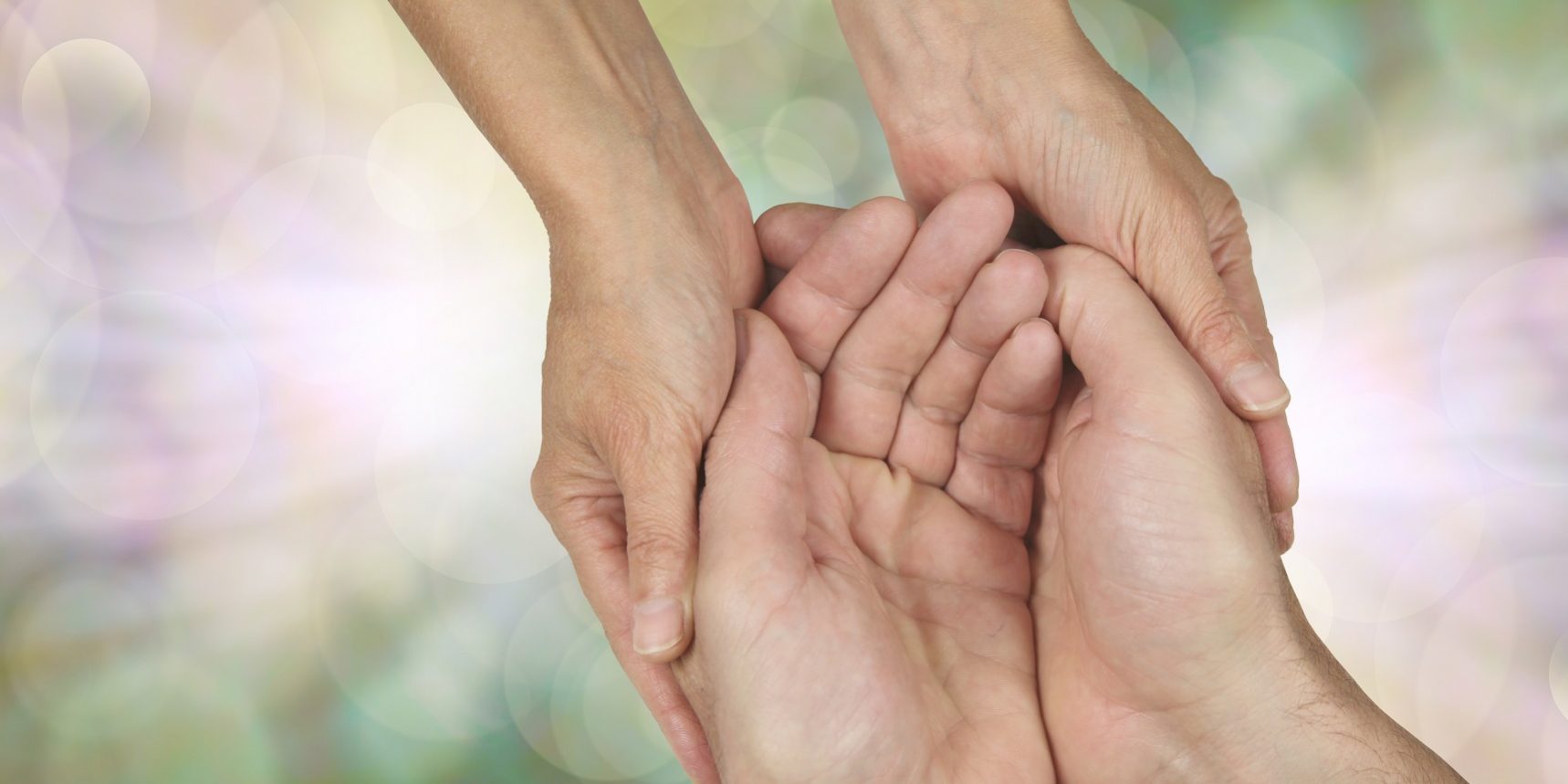 Donor Advised Funds Investment Advisor 1000px Wealth Management - Retirement Planning - NAPFA - CFP