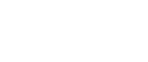 Schanel-Logo-White-BG_core_about
